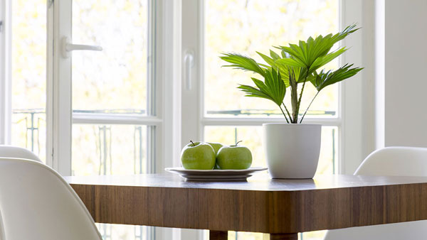 window, Hamburg | Holz Müller GmbH, Heiligenhaus